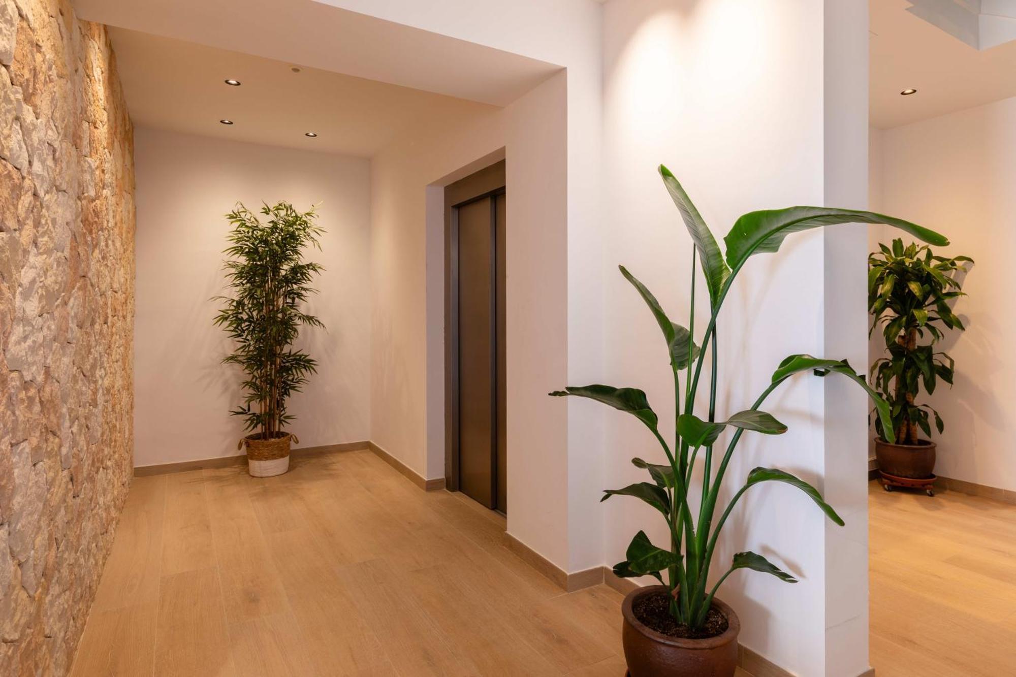 Hostal Mari Sant Antoni de Portmany Dış mekan fotoğraf
